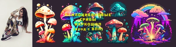 соль ск Алексеевка