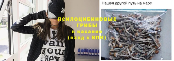прущая мука Алексин