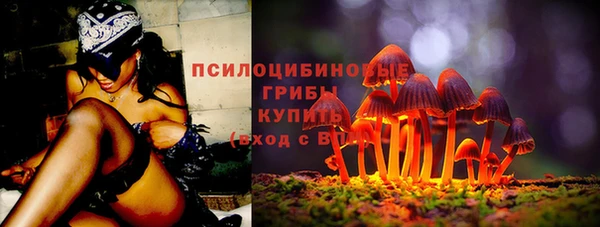 соль ск Алексеевка