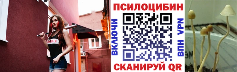 где можно купить наркотик  Крымск  Псилоцибиновые грибы GOLDEN TEACHER 