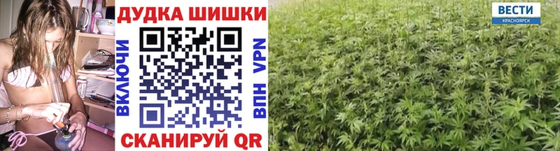 Бошки Шишки план  дарнет шоп  Крымск 